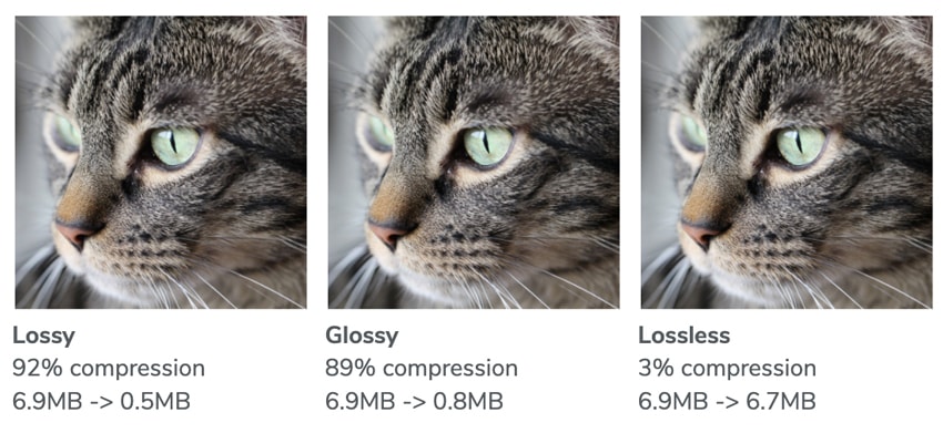 spotify lossless quality spotify lossless quality