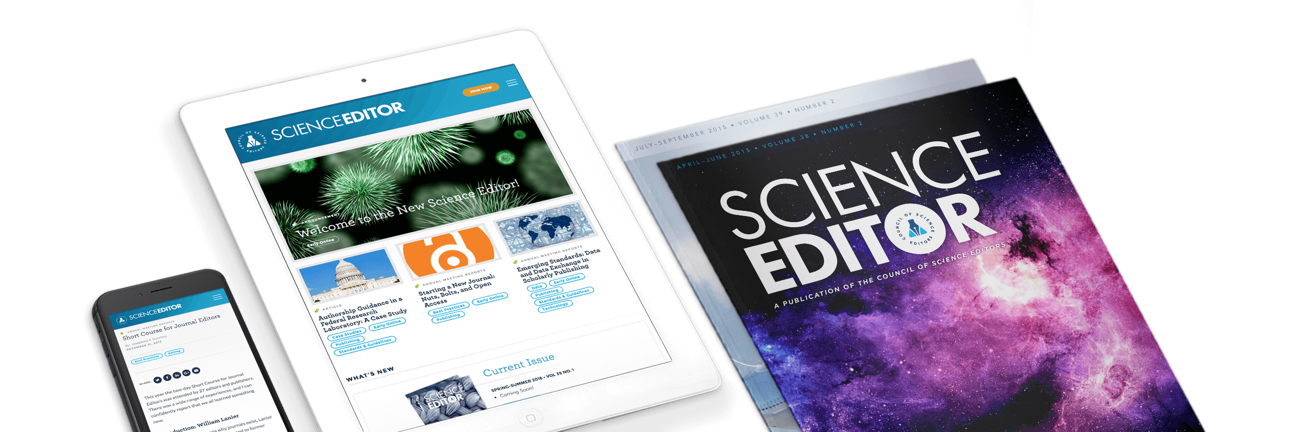 WindmillStrategy-CaseStudy-CSEScienceEditor