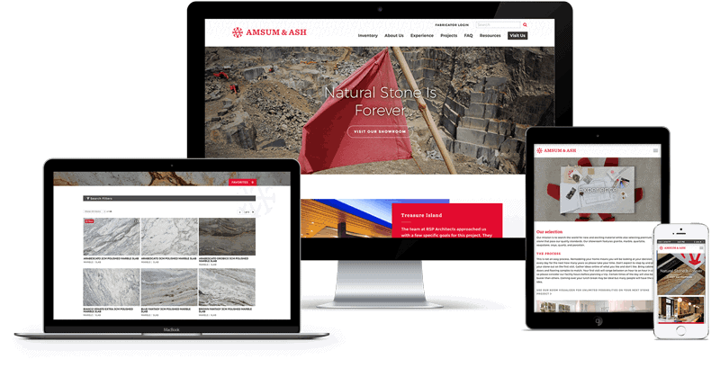 B2B Manufacturing Web Design Case Study Amsum and Ash Feature